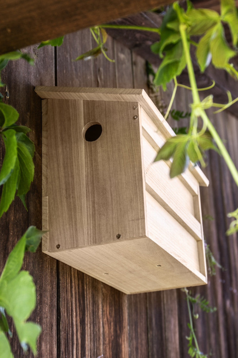 Fuglehus Tvilligehus spurv